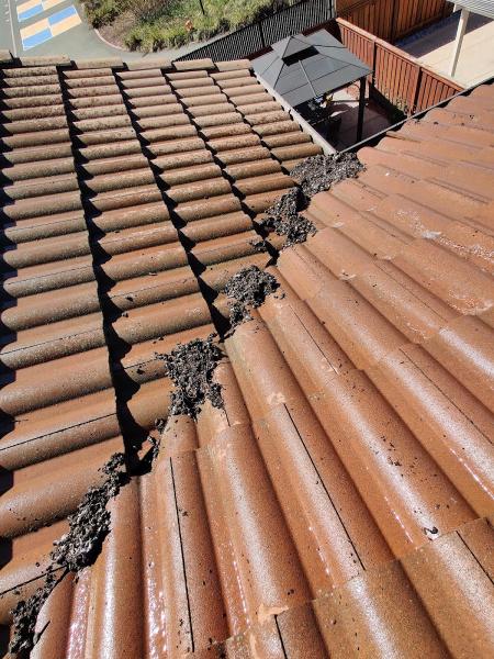 Hurst Solar Panel Cleaning
