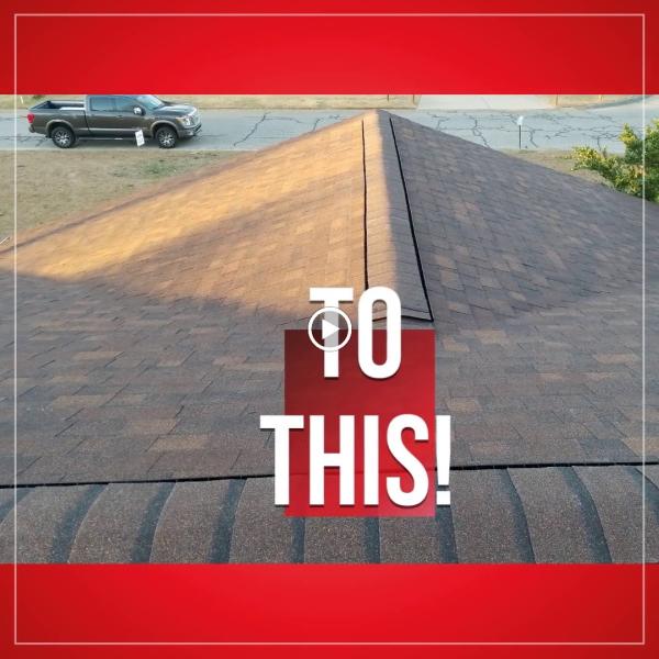 Gold Star Siding