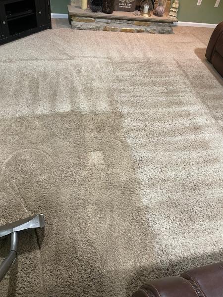 Elite Carpet & Upholstery Cleaners