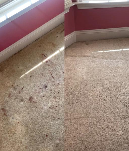 Elite Carpet & Upholstery Cleaners