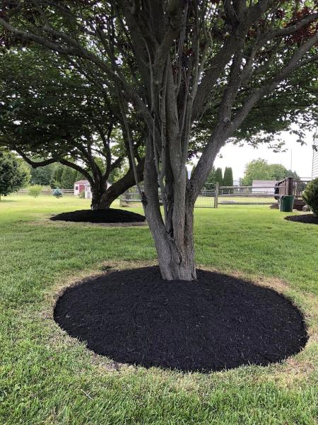 Diaz Landscaping & Lawn Care LLC