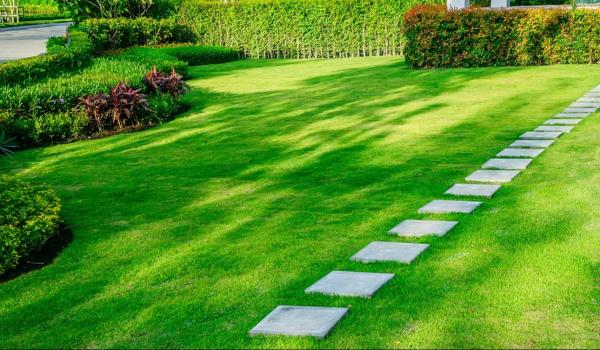 Sk Lawn Care Services