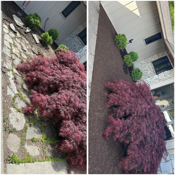 Sk Lawn Care Services
