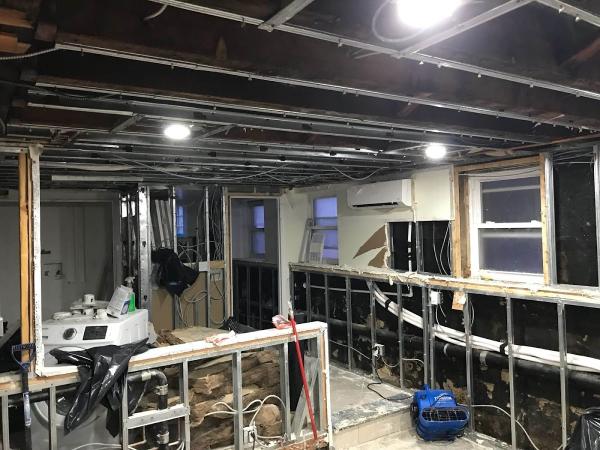 SOS Mold Removal Consulting