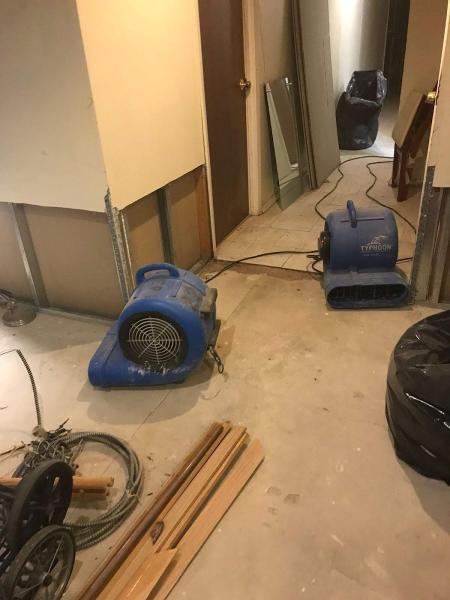 SOS Mold Removal Consulting