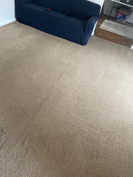 Above & Beyond Carpet Care