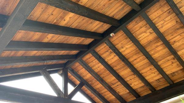 Starr Staining