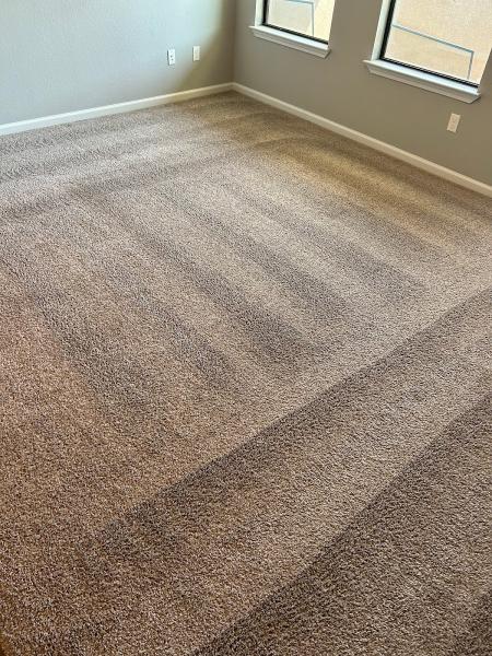 Spotless Carpet Cleaning Service
