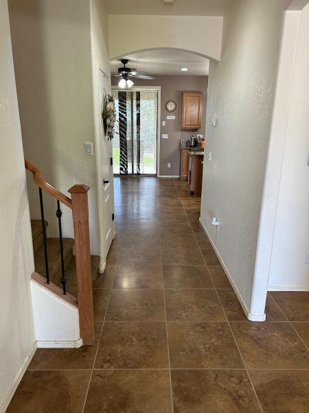 Spotless Carpet Cleaning Service