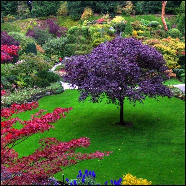Empire Lawn & Landscape Development