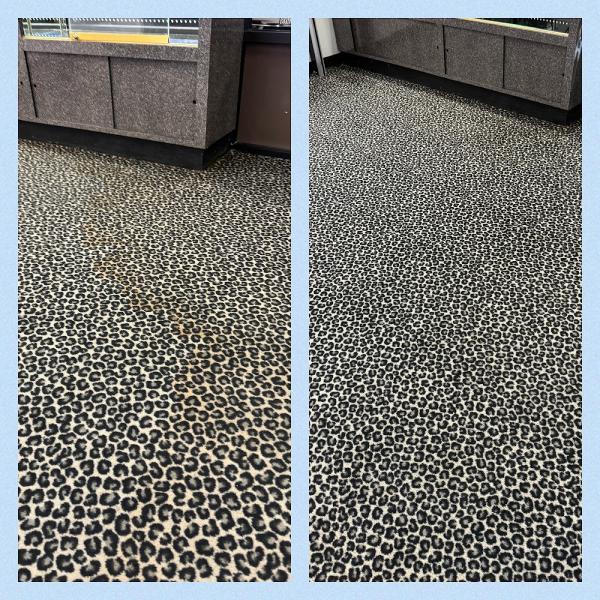 Mystic Steam Carpet & Upholstery Cleaning