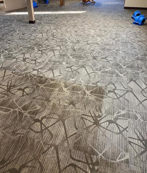 Legacy Carpet Service