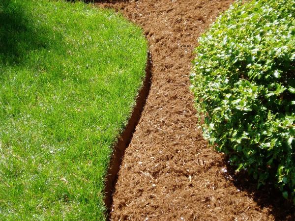 Signature Lawncare and Landscapes