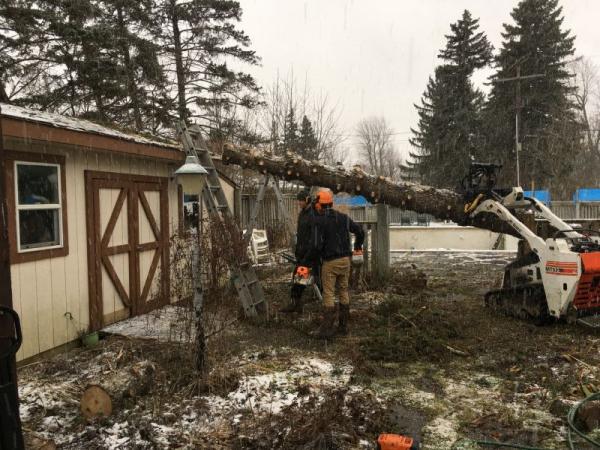 Weimer Tree Co