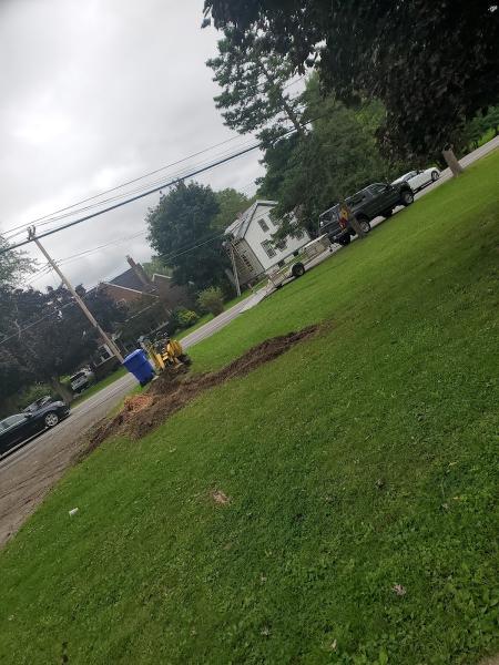 Weimer Tree Co
