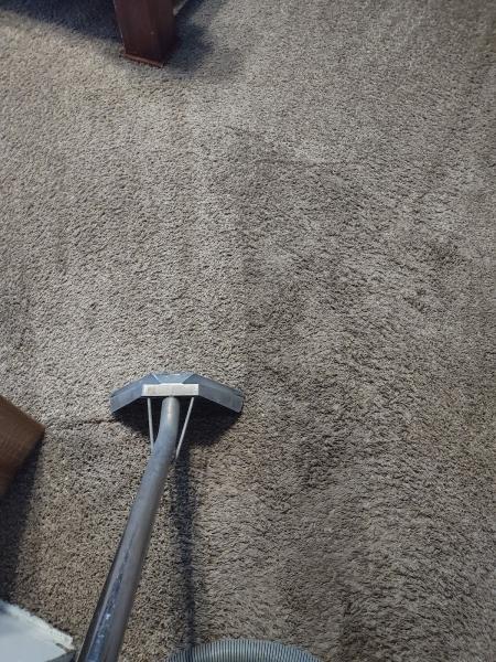 Ace Carpet Cleaning