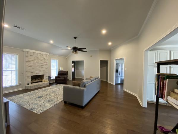 Luxury Professional Painting