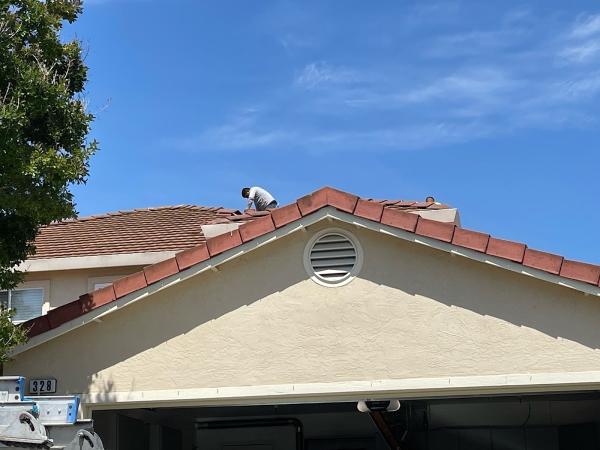 Trap N Rodents Rodent Proofers