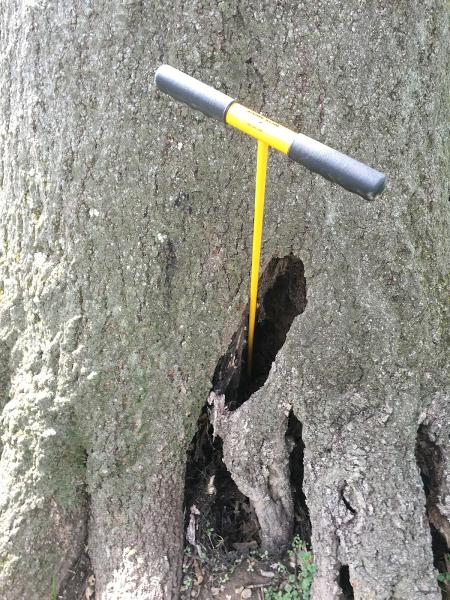 Arc Tree