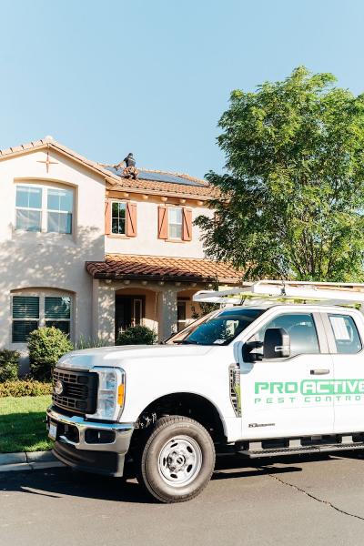 Pro Active Pest Control