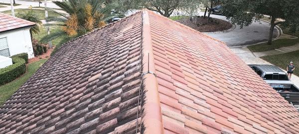 Coyote Roof Cleaning
