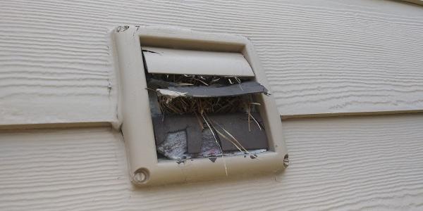 Aaron's Dryer Vent Cleaning