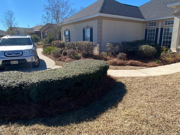 Advanced Lawn and Landscaping LLC