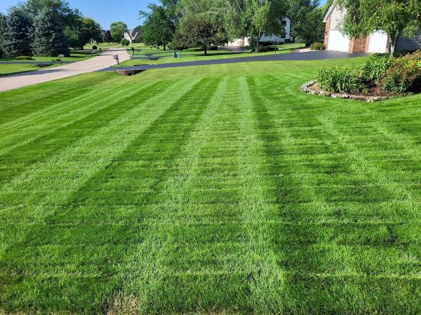 Green Rescue Lawncare