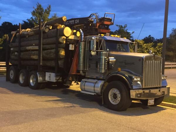Wolff Tree & Landscape LLC