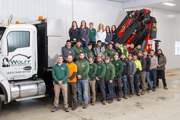 Wolff Tree & Landscape LLC