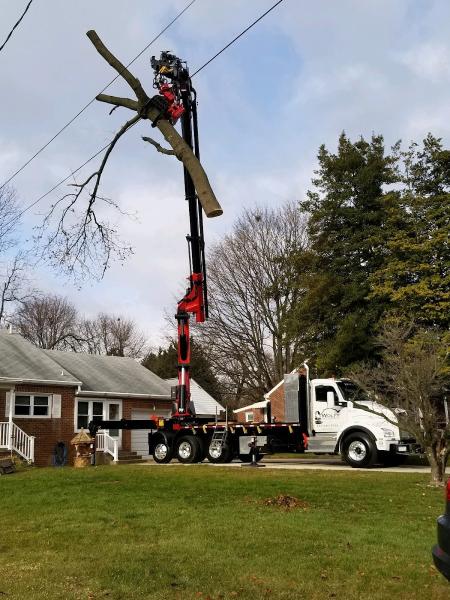 Wolff Tree & Landscape LLC