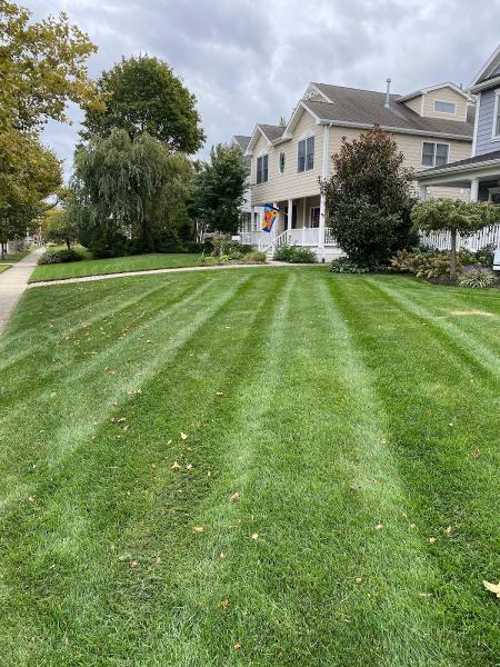 Extreme Green Landscape + Design LLC