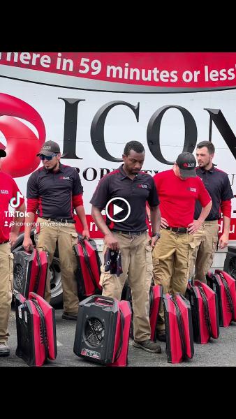 Icon Property Rescue