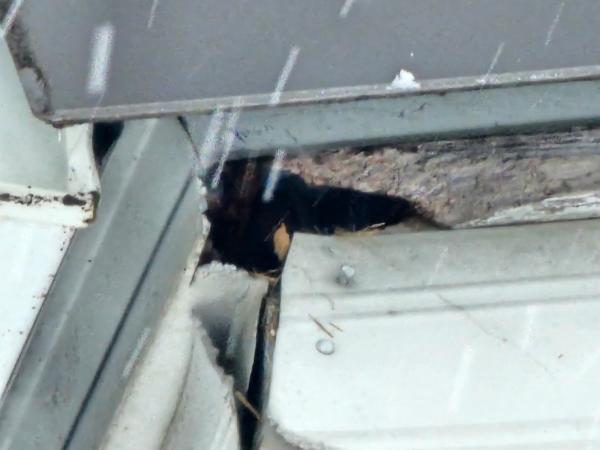 Real Estate Inspections