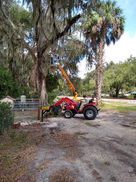 Big Orange Tree Services LLC
