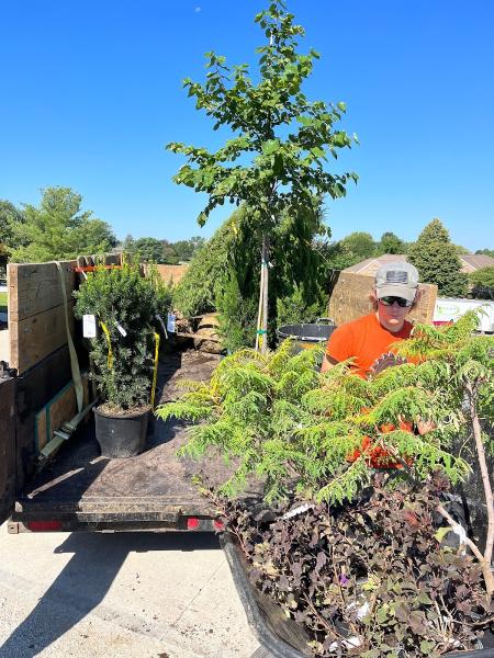 Terragreen Outdoor Solutions