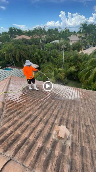 Champion Pressure Cleaning
