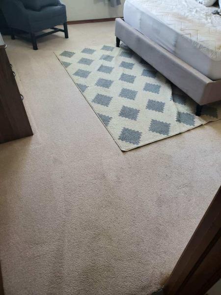 Citro's Carpet Cops