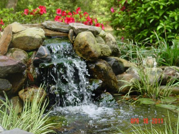 Water Garden Creations