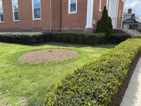 Alexandria Landscaping Services