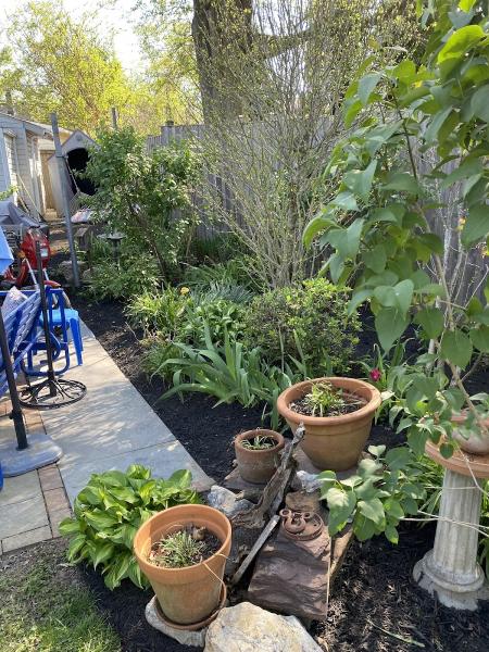 Alexandria Landscaping Services