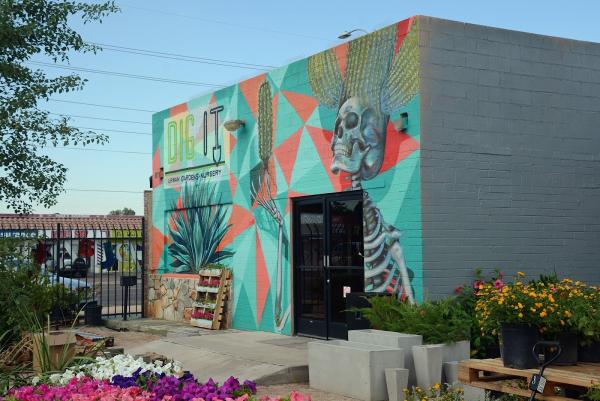 Dig It Gardens