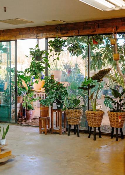 Dig It Gardens