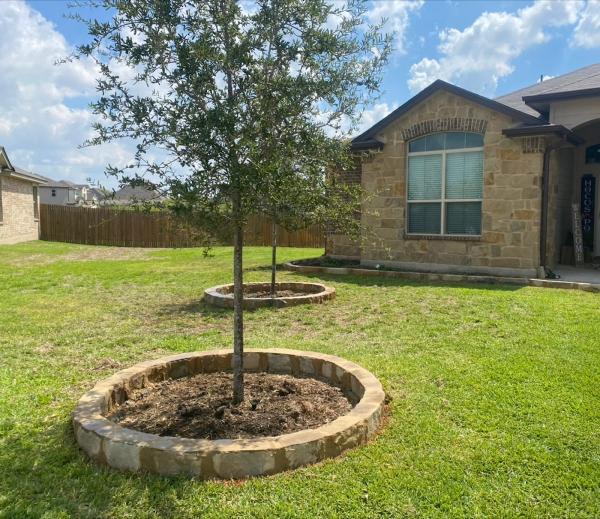 Chavez Landscaping