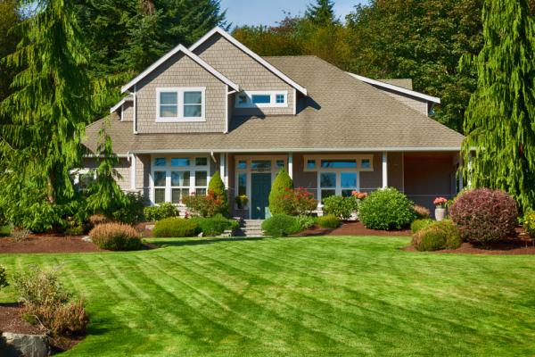 Lawn Guard