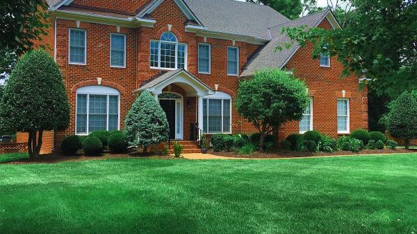 Virtuous Lawn Care