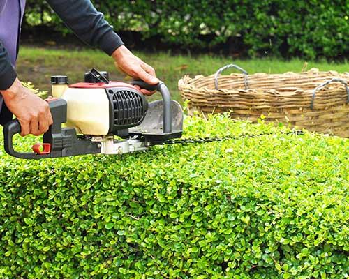 Virtuous Lawn Care