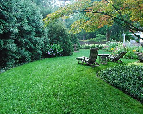 Virtuous Lawn Care