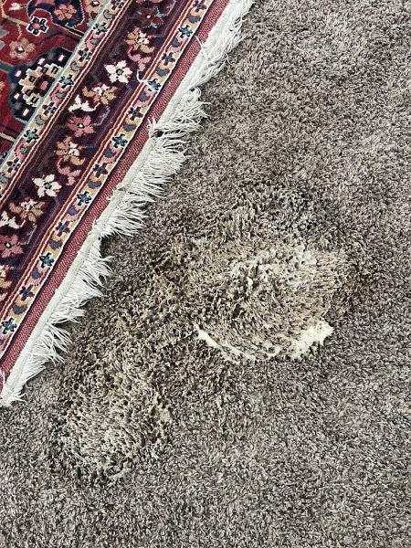 Cloudwalk Carpet Cleaning