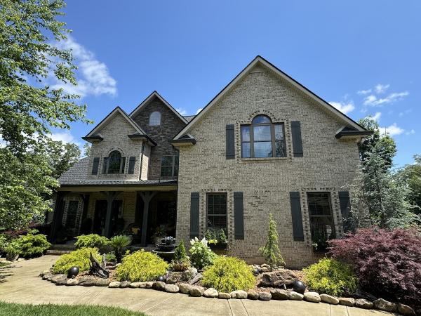 Bluebird Roofing